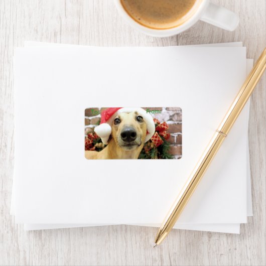 Kerstmis - Greyhound - Pena Etiket (Insitu)