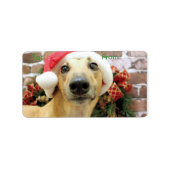 Kerstmis - Greyhound - Pena Etiket (Voorkant)