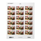 Kerstmis - Greyhound - Pena Etiket (Full Sheet)