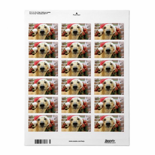 Kerstmis - Greyhound - Pena Etiket (Full Sheet)