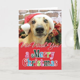 Kerstmis - Greyhound - Pena Feestdagen Kaart