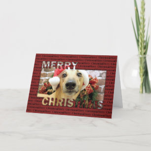 Kerstmis - Greyhound - Pena Feestdagen Kaart