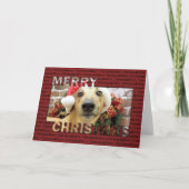 Kerstmis - Greyhound - Pena Feestdagen Kaart (Voorkant)