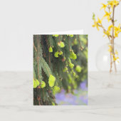 Kerstmis Groene Dennenboom Sneeuw Winter Kaart (Gele Bloem)