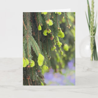 Kerstmis Groene Dennenboom Winter Wonderland Kaart