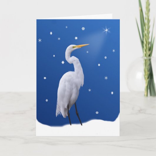 Kerstmis, Grote Aigrette en Ster Feestdagen Kaart (Voorkant)