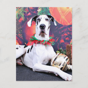 Kerstmis - Harlequin Great Dane - Baron Feestdagenkaart