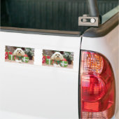 Kerstmis - Havanees - Mason Bumpersticker (Op Truck)