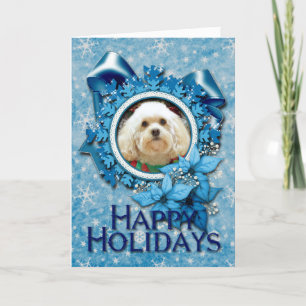 Kerstmis - Havanese - Metselaar Feestdagen Kaart