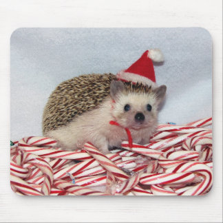 Kerstmis Hedgie Mousepad Muismat