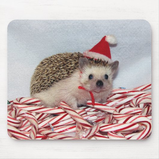 Kerstmis Hedgie Mousepad Muismat (Voorkant)