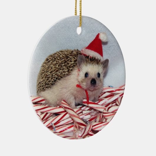 Kerstmis Hedgie Ornament (Rechts)