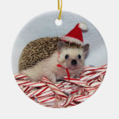 Kerstmis Hedgie Ornament (Voorkant)