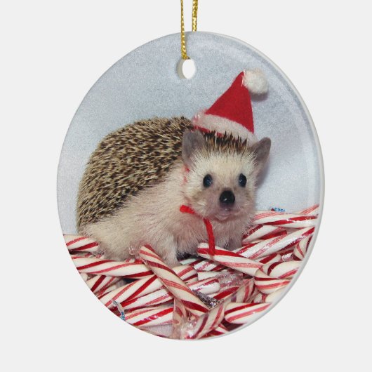 Kerstmis Hedgie Ornament (Links)