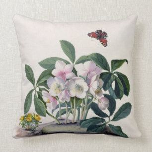 Kerstmis (Helleborus niger) en Winteraconi Kussen