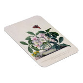 Kerstmis (Helleborus niger) en Winteraconi Magneet (Rechterzijde)