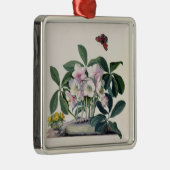 Kerstmis (Helleborus niger) en Winteraconi Metalen Ornament (Rechts)
