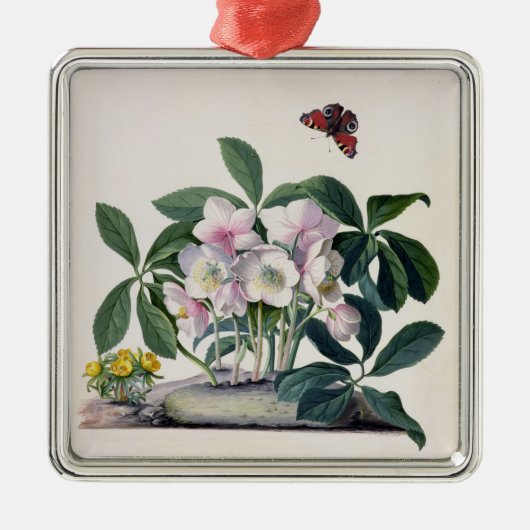 Kerstmis (Helleborus niger) en Winteraconi Metalen Ornament (Voorkant)