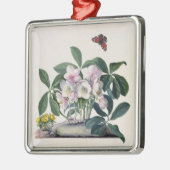 Kerstmis (Helleborus niger) en Winteraconi Metalen Ornament (Links)