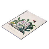 Kerstmis (Helleborus niger) en Winteraconi Notitieboek (Linkerzijde)