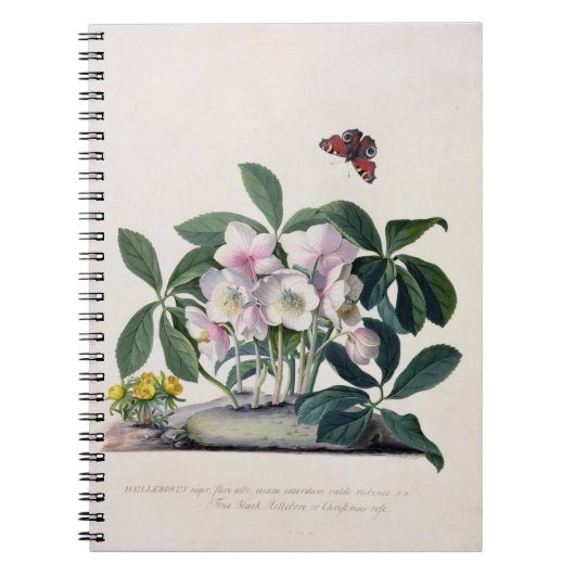 Kerstmis (Helleborus niger) en Winteraconi Notitieboek (Voorkant)