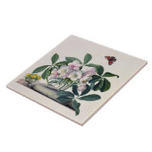 Kerstmis (Helleborus niger) en Winteraconi Tegeltje (Zijkant)