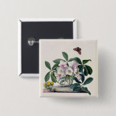 Kerstmis (Helleborus niger) en Winteraconi Vierkante Button 5,1 Cm (Voorkant /achterkant)