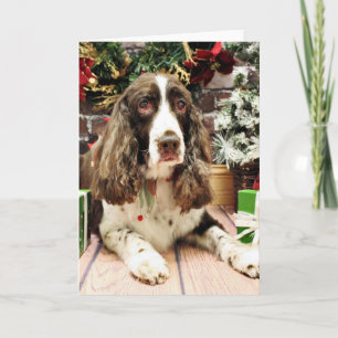 Kerstmis - het Engelse Spaniel van de Aanzetsteen Feestdagen Kaart