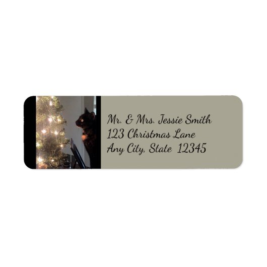 Kerstmis - het Kat van Calico van de Terugkeer van Etiket (Voorkant)