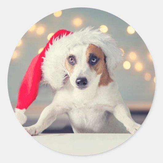 KERSTMIS HOND MET KAP VAN SANTA Sticker (Voorkant)