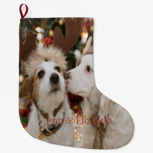 Kerstmis, Honden Verliefd Grote Kerstsok