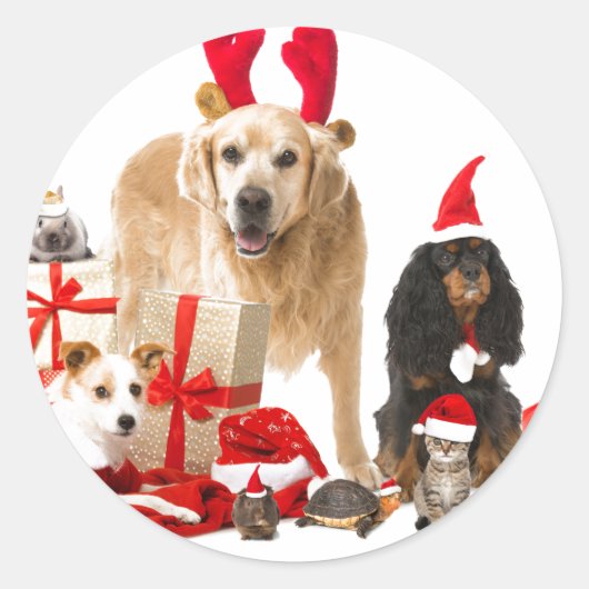 KERSTMIS HUISDIEREN STICKER (Voorkant)