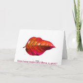 Kerstmis in de baai feestdagen kaart (Achterkant)