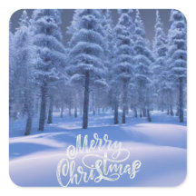 Kerstmis in de winter