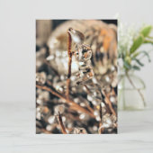 Kerstmis in discostijl kaart (Staand voorkant)