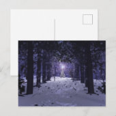 Kerstmis in het Briefkaart Pines (Voorkant / Achterkant)