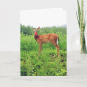 Kerstmis in juli feestdagen kaart (Voorkant)