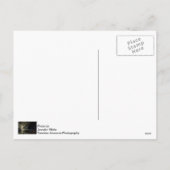 Kerstmis in Klyde Warren Park Feestdagenkaart (Achterkant)