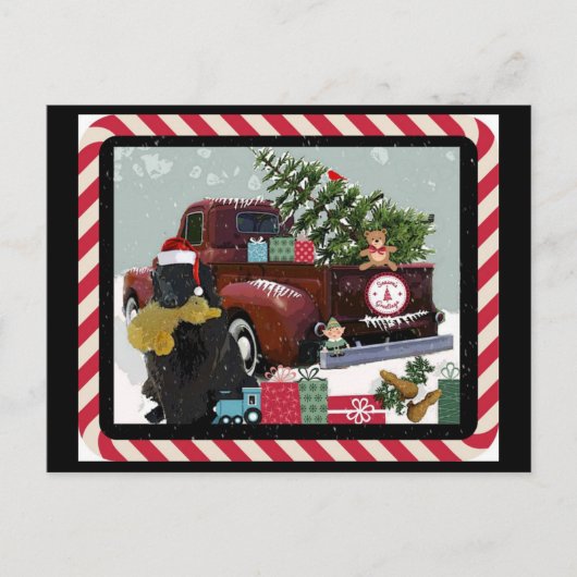 Kerstmis in Newfoundland Feestdagenkaart (Voorkant)