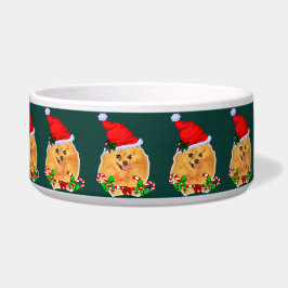 Kerstmis in Santa Pomeranian Voerbakje