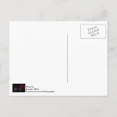 Kerstmis in Silver Dollar City Feestdagenkaart (Achterkant)