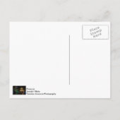 Kerstmis in Silver Dollar City Feestdagenkaart (Achterkant)