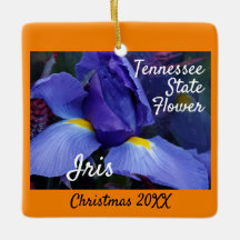 Kerstmis in Tennessee State Flower Iris
