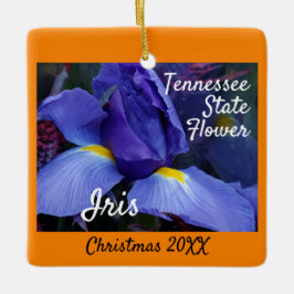 Kerstmis in Tennessee State Flower Iris Keramisch Ornament