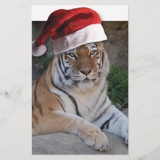 Kerstmis in Tiger Briefpapier (Voorkant)