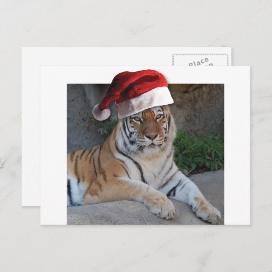 Kerstmis in Tiger Feestdagenkaart (Voorkant / Achterkant)