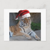 Kerstmis in Tiger Feestdagenkaart (Voorkant)