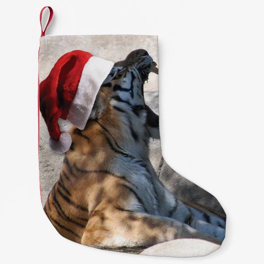 Kerstmis in Tiger Kleine Kerstsok (Voorkant)