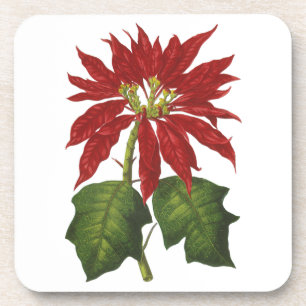 Kerstmis in vintage stijl, rode poinsettia winterp drankjes onderzetter