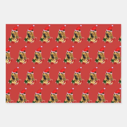 Kerstmis Inpakpapier Vel (Voorkant)